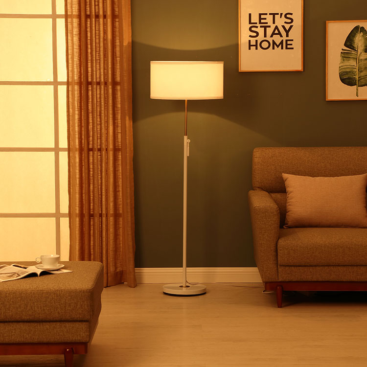 Adjustable Floor Standing Lamp 3