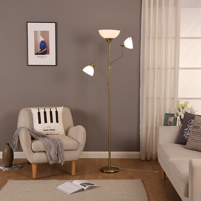 Adjustable Gooseneck Floor Light-10