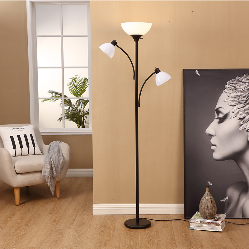 Adjustable Gooseneck Floor Light-3