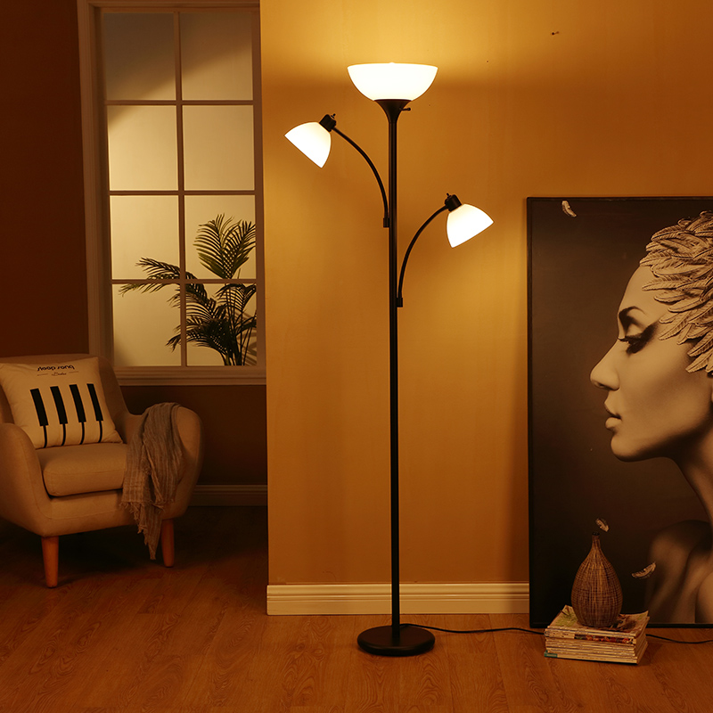 Adjustable Gooseneck Floor Light-6