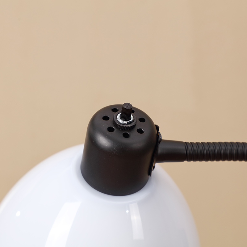 Adjustable Gooseneck Floor Light-9