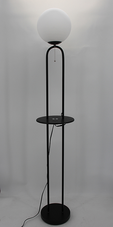 Black Metal Floor Lamp-2