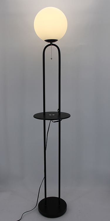 Black Metal Floor Lamp-3