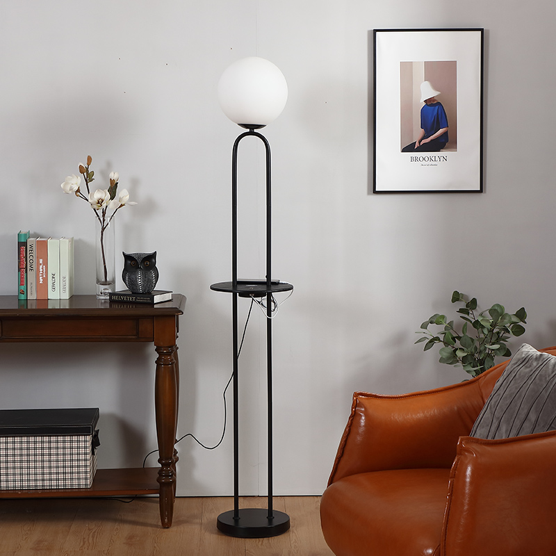 Black Metal Floor Lamp-7