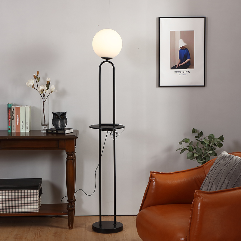 Black Metal Floor Lamp-8