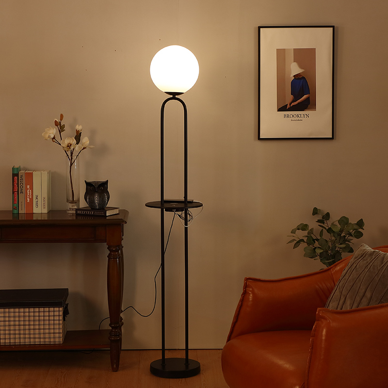 Black Metal Floor Lamp-9