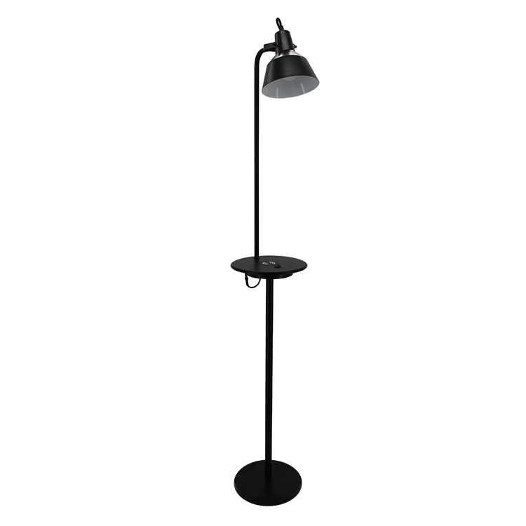 Black Metal Floor Lamp