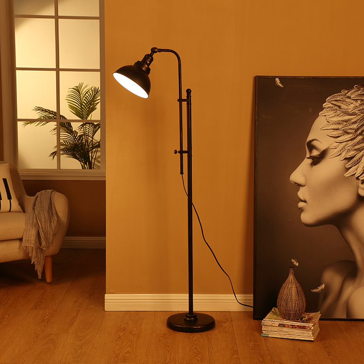 Black and Gold Floor Lamp 6