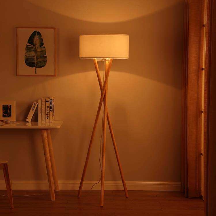 Euro Style Collection  Tripod Floor Lamp 3