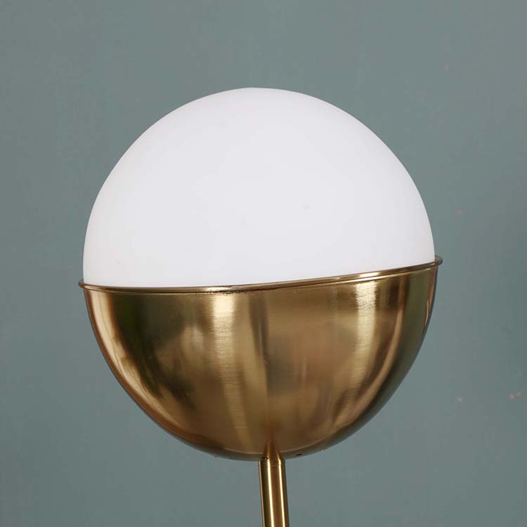 Modern Glass shade Brass LED Floor Lamp details 1